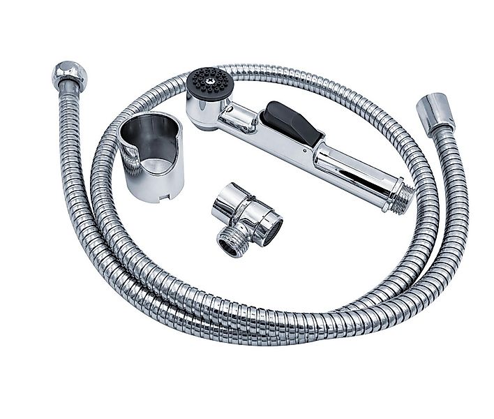 Ridder Duschbrause Lyon chromfarben günstig online kaufen