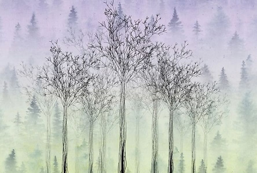 Architects Paper Fototapete »Atelier 47 Trees Artwork 2« Wald glatt Vlies, günstig online kaufen