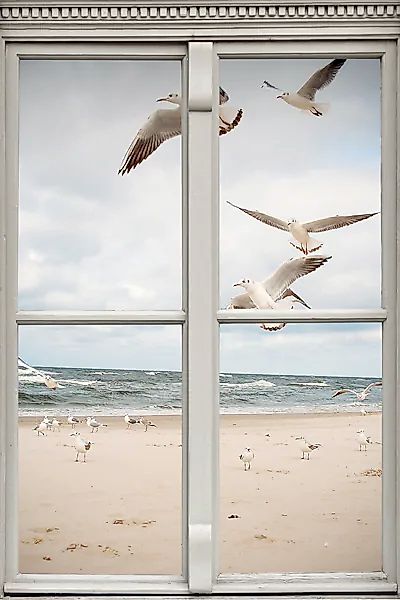 queence Leinwandbild »Möwen«, Meer-Natur-Vögel-Fensterblick, (1 St.), Premi günstig online kaufen