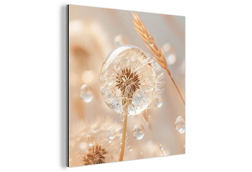 MuchoWow Metallbild Löwenzahn - Wasser - Natur - Stillleben - Modern, Inkl. günstig online kaufen