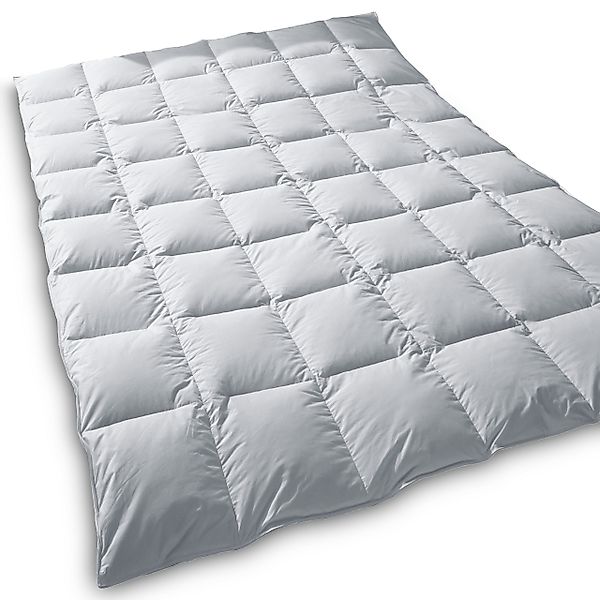 TraumDaune Daunenbettdecke Typ EIDER Premium Ganzjahresdecke günstig online kaufen