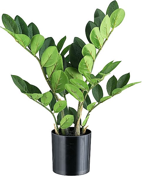 Kunstpflanze Zamifolia Grünpflanze, Creativ green, Höhe günstig online kaufen