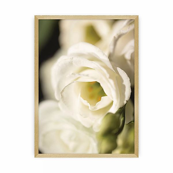 Poster Flower Wall, 40 x 50 cm, Rahmen wählen: gold günstig online kaufen