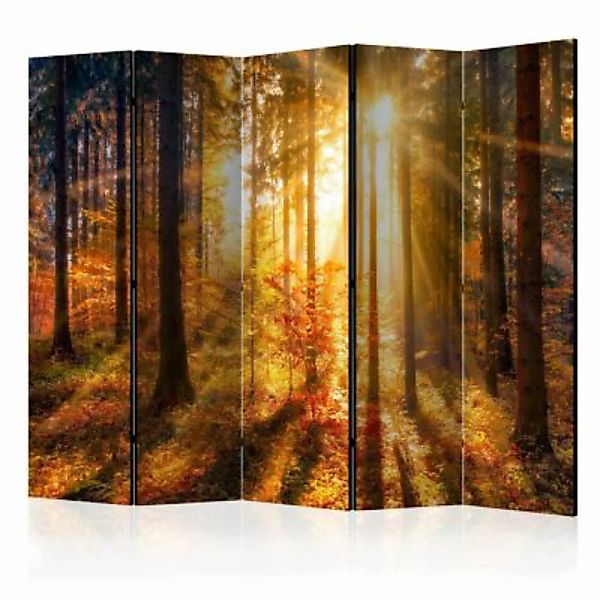 artgeist Paravent Autumn Awakening II [Room Dividers] mehrfarbig Gr. 225 x günstig online kaufen