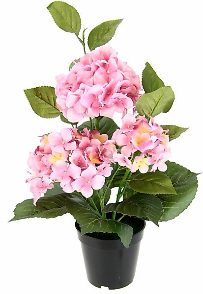 Kunstblume Hortensien, I.GE.A., Höhe 50 cm günstig online kaufen