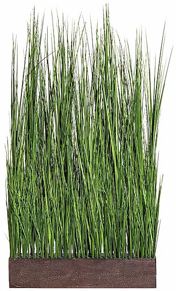 Kunstgras Gras Raumteiler, Creativ green, Höhe günstig online kaufen