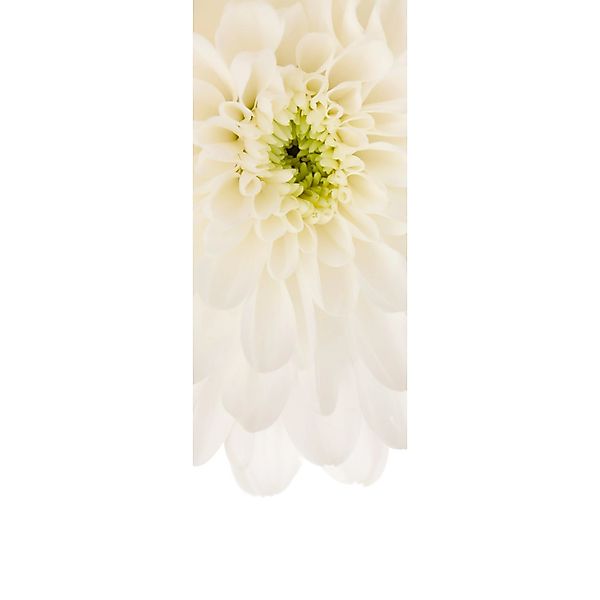 Komar Fototapete Vlies Beautiful  100 x 280 cm günstig online kaufen