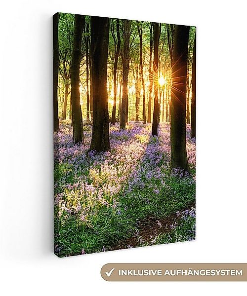 OneMillionCanvasses® Leinwandbild Wald - Blumen - Lavendel - Sonne - Lila - günstig online kaufen