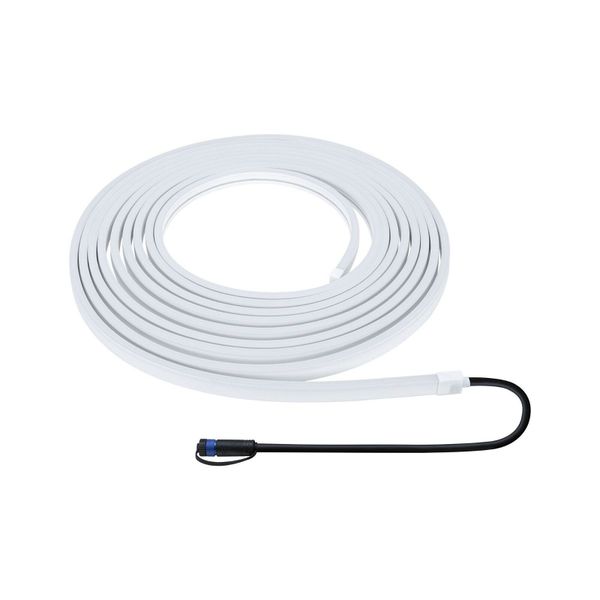 Paulmann LED Gartenstrahler Plug & Shine günstig online kaufen