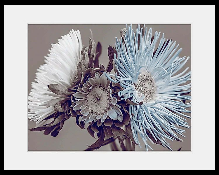 queence Bild "Verena", Blumen, (1 St.) günstig online kaufen