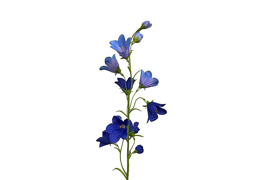 Kunstblume Künstliche Glockenblume 65cm, Campanula BLAU, Floratexx GmbH günstig online kaufen