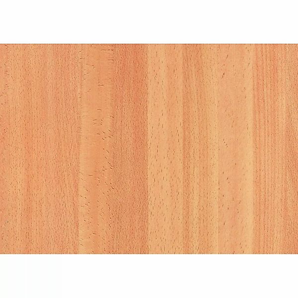 d-c-fix Wandfolie d-c-fix Selbstklebefolie Rotbuche 45 günstig online kaufen