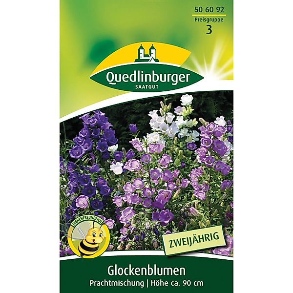 Quedlinburger Glockenblume ''Prachtmischung'' günstig online kaufen