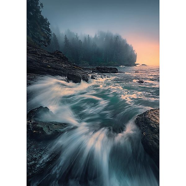 Vlies Fototapete Cry of the Sea 200x280 cm günstig online kaufen