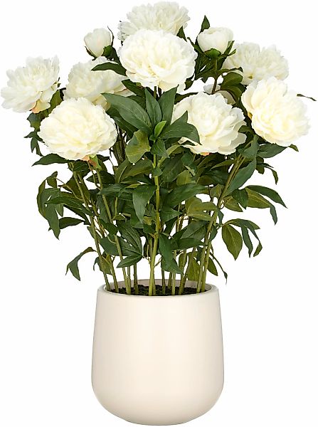 Creativ green Kunstpflanze "Peonie", im eleganten Topf günstig online kaufen