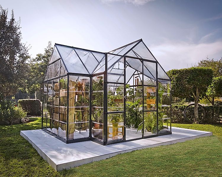 Palram - Canopia Gewächshaus Victory Orangerie, günstig online kaufen