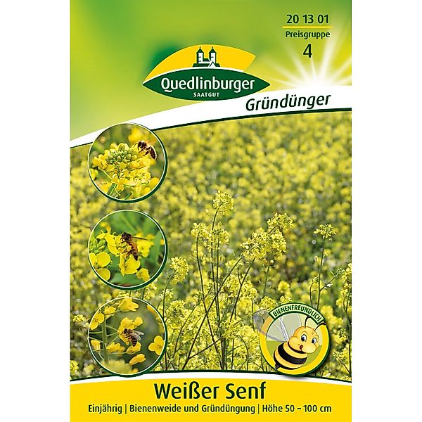 Quedlinburger Senf weißer Gelbsenf Großpackung günstig online kaufen