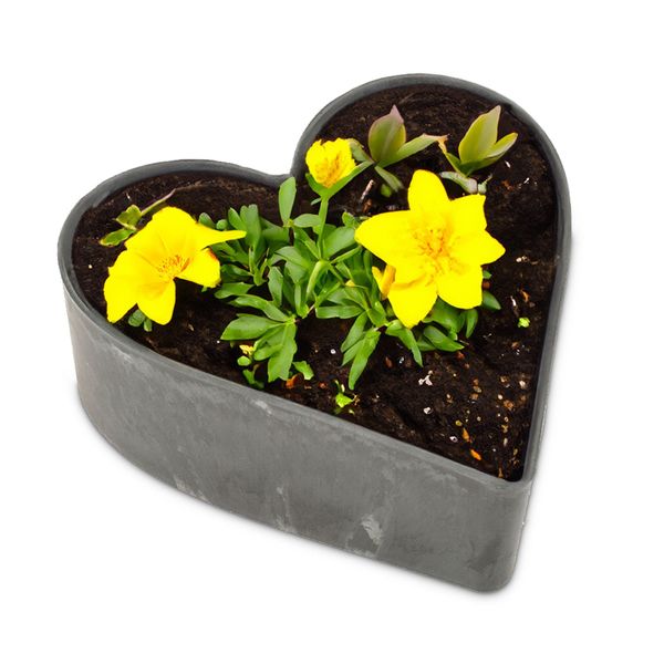 matches21 HOME & HOBBY Blumentopf Herz günstig online kaufen