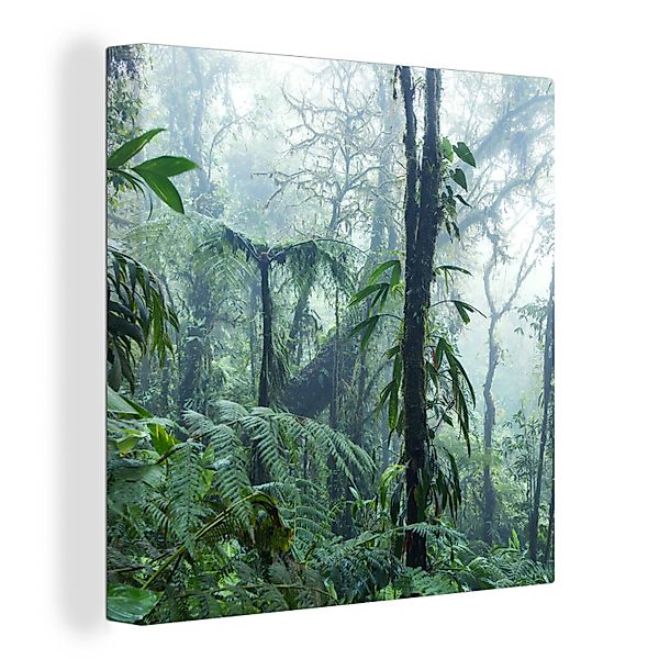OneMillionCanvasses® Leinwandbild Ein nebliger Regenwald in günstig online kaufen