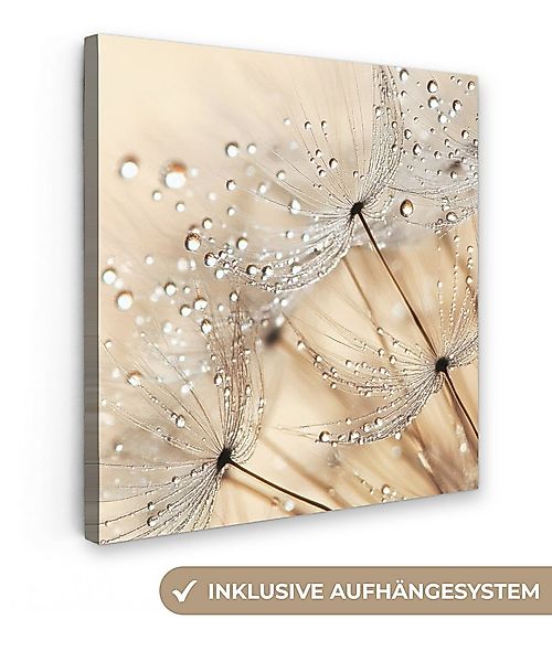OneMillionCanvasses® Leinwandbild Löwenzahn - Abstrakt - Natur - Beige, Fot günstig online kaufen