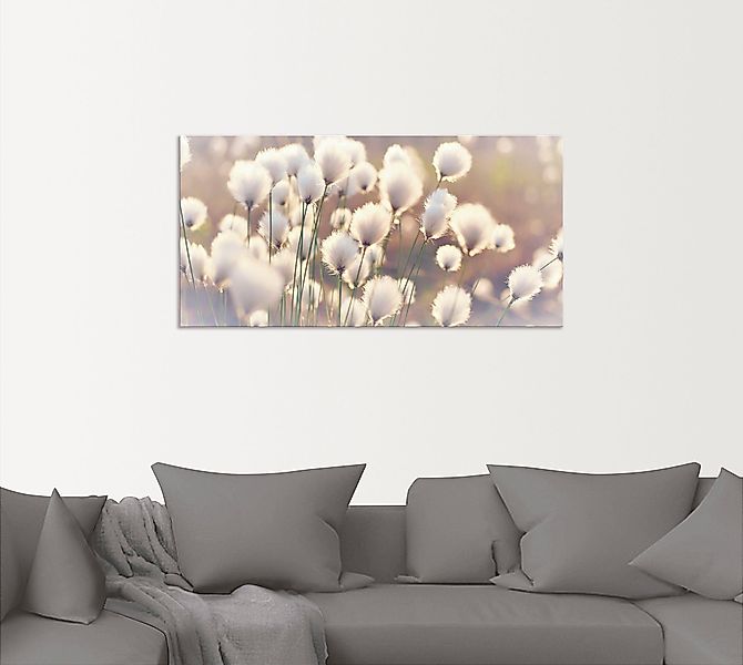 Artland Wandbild "Wollgraszauber im Moor" Gräser 1 Stk. tlg. als Alubild, O günstig online kaufen