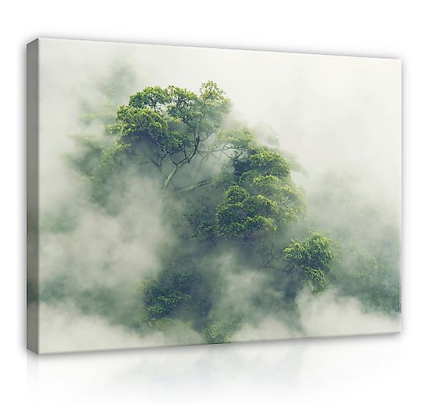 Wallarena Leinwandbild Wald Nebel Natur Grün günstig online kaufen