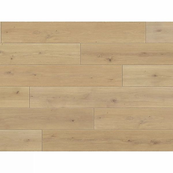 Parador Classic 1050 Laminat 8 mm Wasserfest Eiche Natur Mix Hell günstig online kaufen