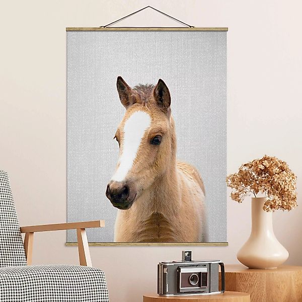 Stoffbild mit Posterleisten Baby Pferd Philipp günstig online kaufen