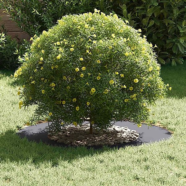 vidaXL Blumentopf Flacher Baumring Anthrazit Ø40 günstig online kaufen