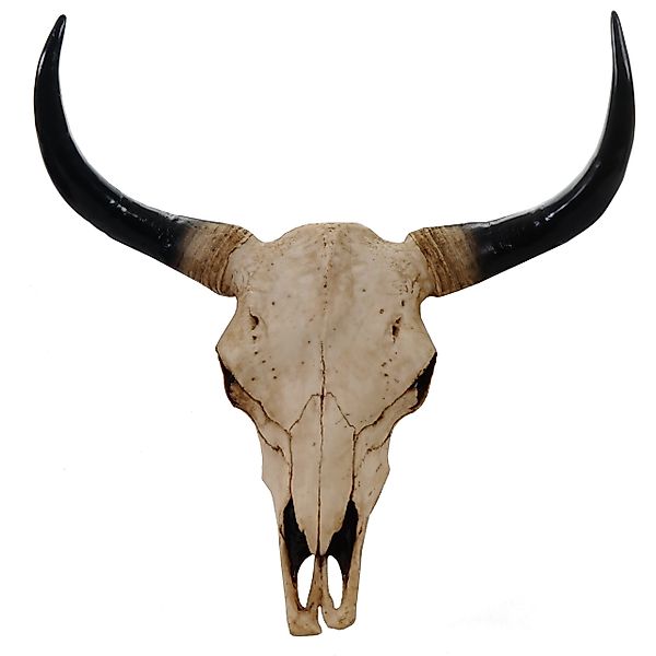MCW Deko Schädel 45cm T454 Stier Naturfarben günstig online kaufen