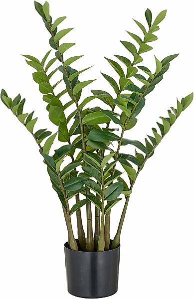Creativ green Kunstpflanze "Zamifolia", mit detailgetreuer Gestaltung günstig online kaufen