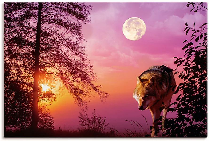 Artland Wandbild »Wolf im Vollmond« Wolfbilder 1 Stk. tlg. als Alubild, Out günstig online kaufen