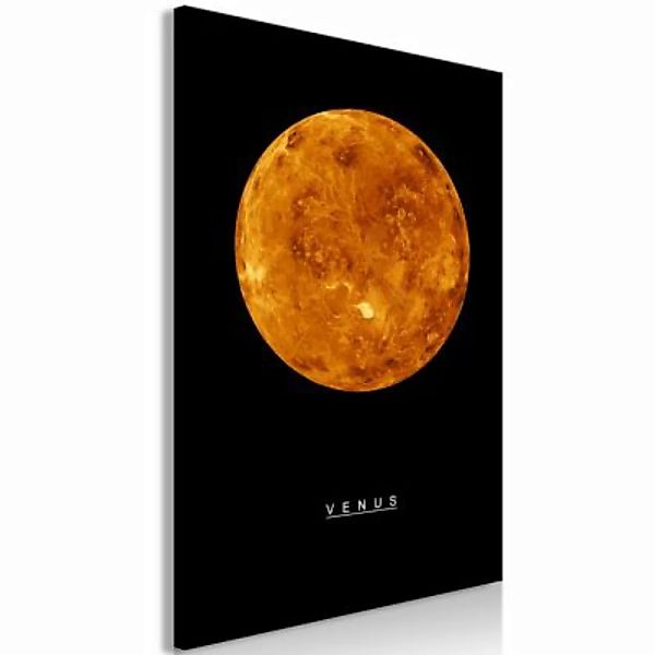 artgeist Wandbild Venus (1 Part) Vertical orange/schwarz Gr. 40 x 60 günstig online kaufen
