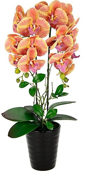 Kunstblume Orchidee, I.GE.A., Höhe 58 cm, Im Topf Phalaenopsis Orchidee Pha günstig online kaufen