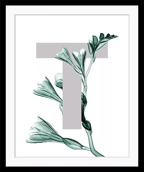 queence Bild "T-Flower", Buchstaben, gerahmt, Blume, Blätter günstig online kaufen
