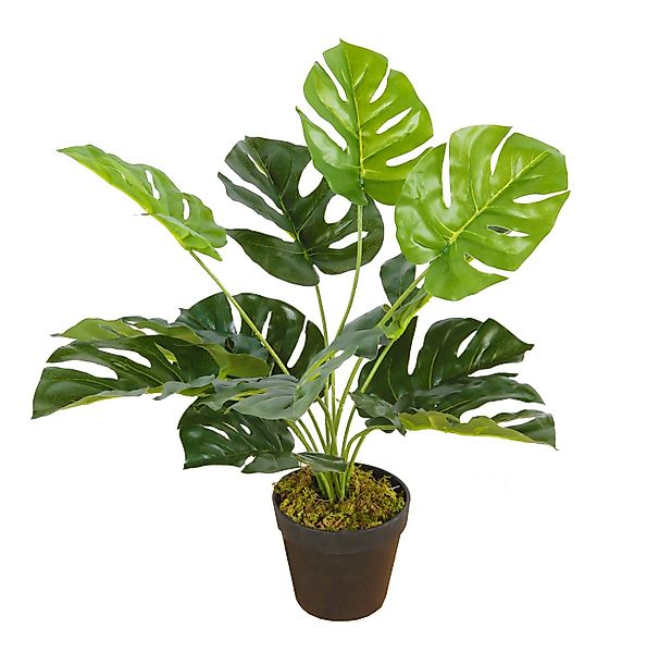 Künstliche Zimmerpflanze Deko Kunstpflanze Monstera - 45 cm - Zimmerpflanze günstig online kaufen