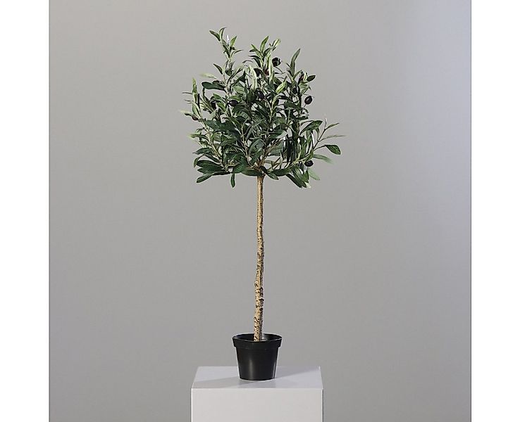 Kunstbaum küstlicher Olivenbaum 80cm, mucPlants, Höhe 80 cm günstig online kaufen