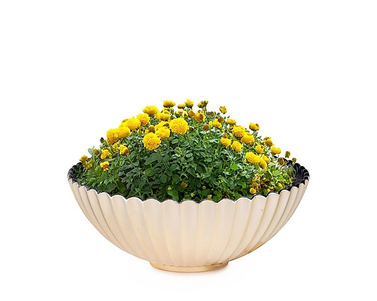 matches21 HOME & HOBBY Blumentopf Dekoschale runde Pflanzschale für drausse günstig online kaufen