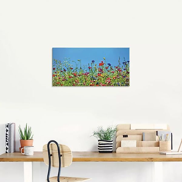 Artland Glasbild "Blumenwiese II", Blumenwiese, (1 St.), in verschiedenen G günstig online kaufen