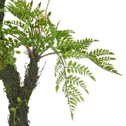 Kunstpflanze Baumfarn, Creativ green, Höhe 80 günstig online kaufen
