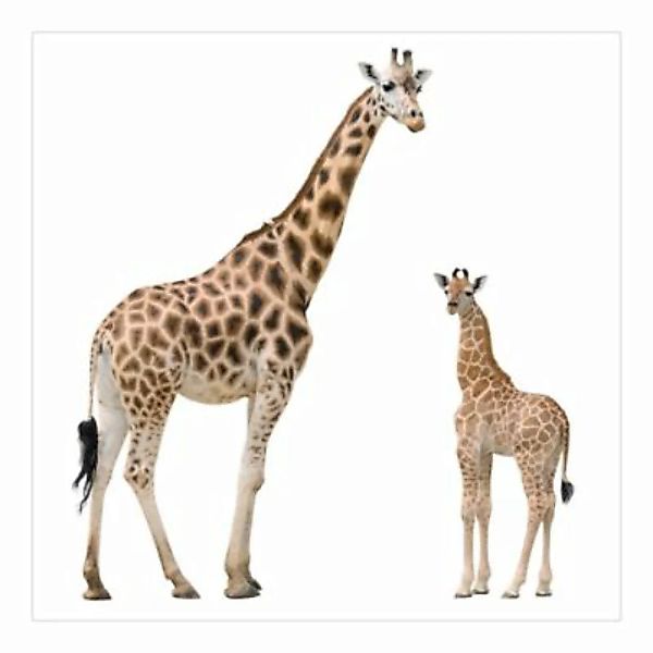 Bilderwelten Fototapete Giraffe Mutter und Kind bunt Gr. 240 x 240 günstig online kaufen