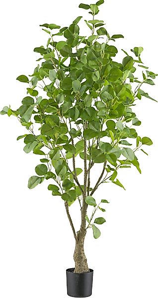 Kunstbaum Eukalyptus Grünpflanze, Creativ green, Höhe günstig online kaufen