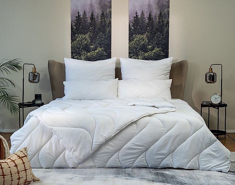 BEFA CARE Microfaserbettdecke 4-Jahreszeiten-Bettdecke mit Aloe günstig online kaufen