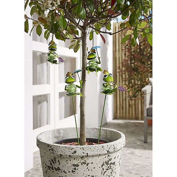 Luxform LED Gartenleuchte Luxform Solar Frog günstig online kaufen