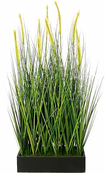 I.GE.A. Kunstpflanze »Fuchsschwanzgras im Topf« günstig online kaufen