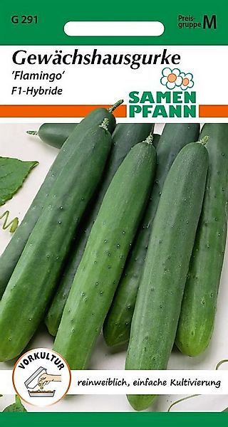 SAMEN PFANN Gemüsesamen Salatgurke, Flamingo F1 - Gurken-Samen Saatgut Sala günstig online kaufen