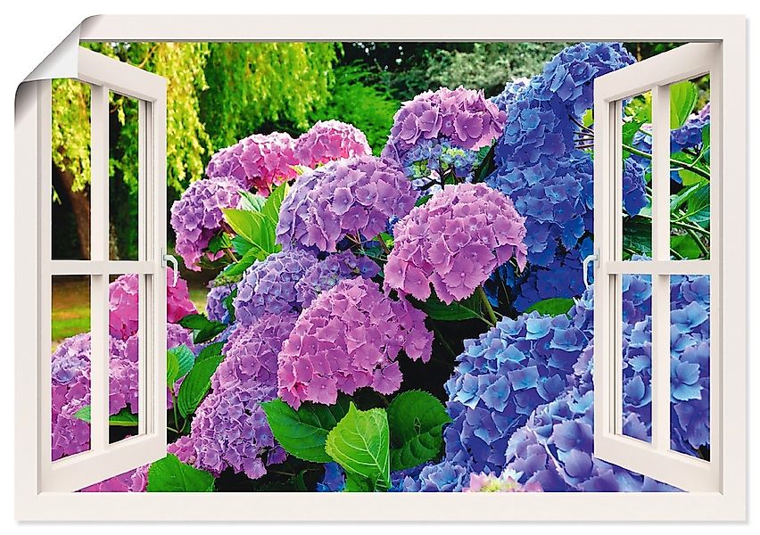 Artland Poster "Fensterblick Hortensien im Garten" Blumen 1 Stk. tlg. ohne günstig online kaufen
