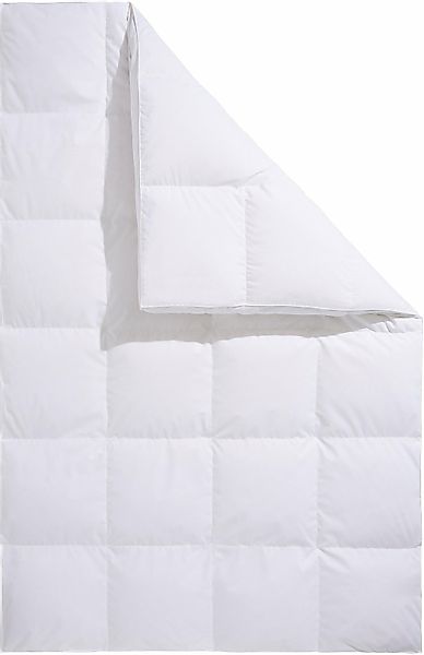 Älgdröm Daunenbettdecke + 3-Kammer-Kopfkissen »Lasse, Bettdecke 135x200 cm, günstig online kaufen