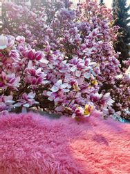 Hollert Fellteppich Tibet gelocktes Lammfell Schaffell, günstig online kaufen