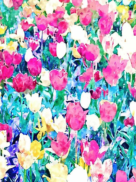 Poster / Leinwandbild - Meadow In Bloom günstig online kaufen